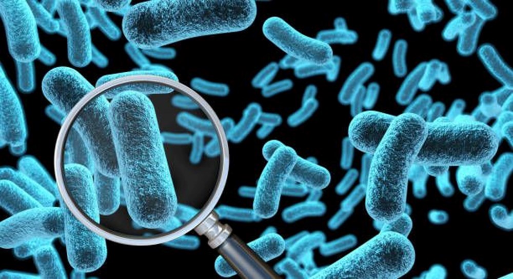 Süper bakteriyi yapay zeka öldürecek - 6