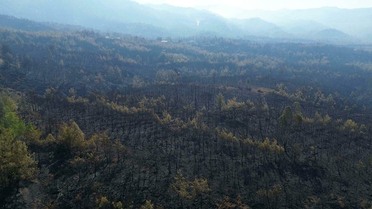 Yanan bölgelerdeki tahribat drone ile görüntülendi.