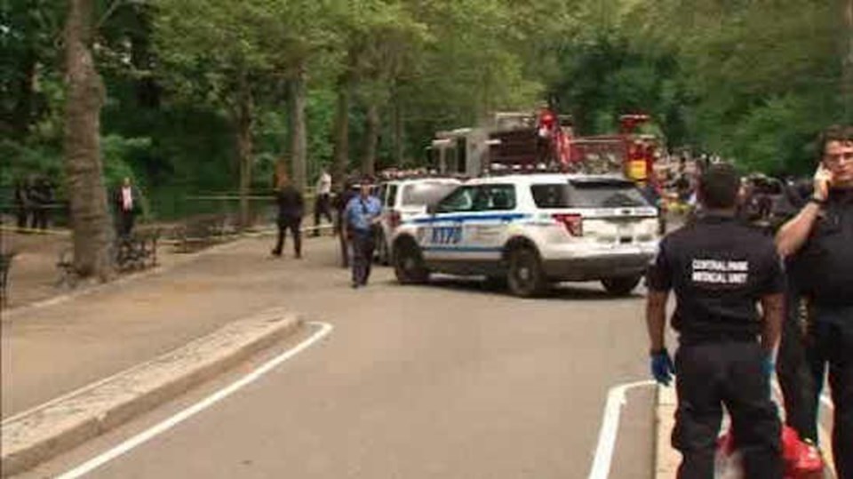 Central Park'ta patlama: 1 yaralı - 2