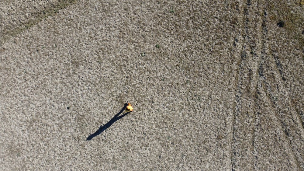 Sular çekilince tarım arazileri geri döndü - 4