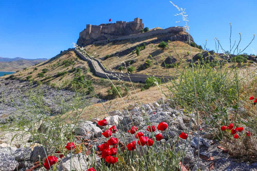 Tunceli'de 2 bin 800 yıllık tarihi Pertek Kalesi göz kamaştırıyor - 6