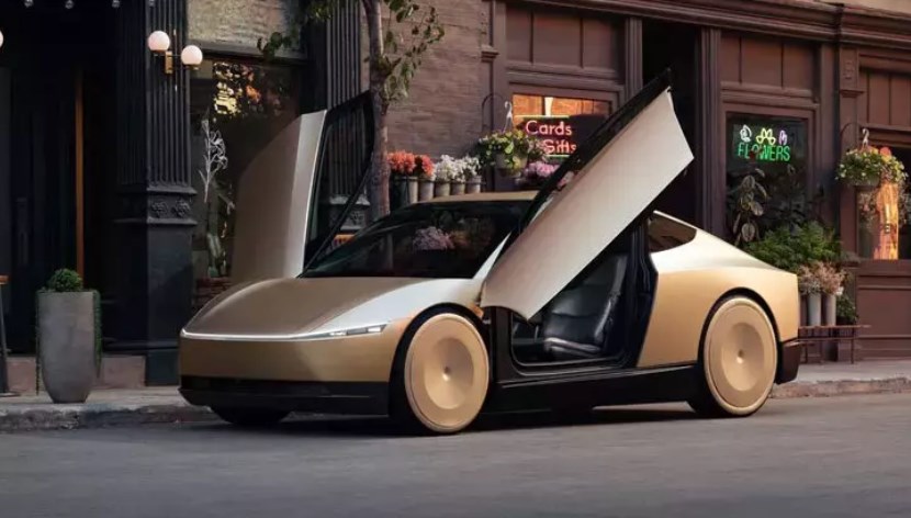 Robotaxi reddedildi