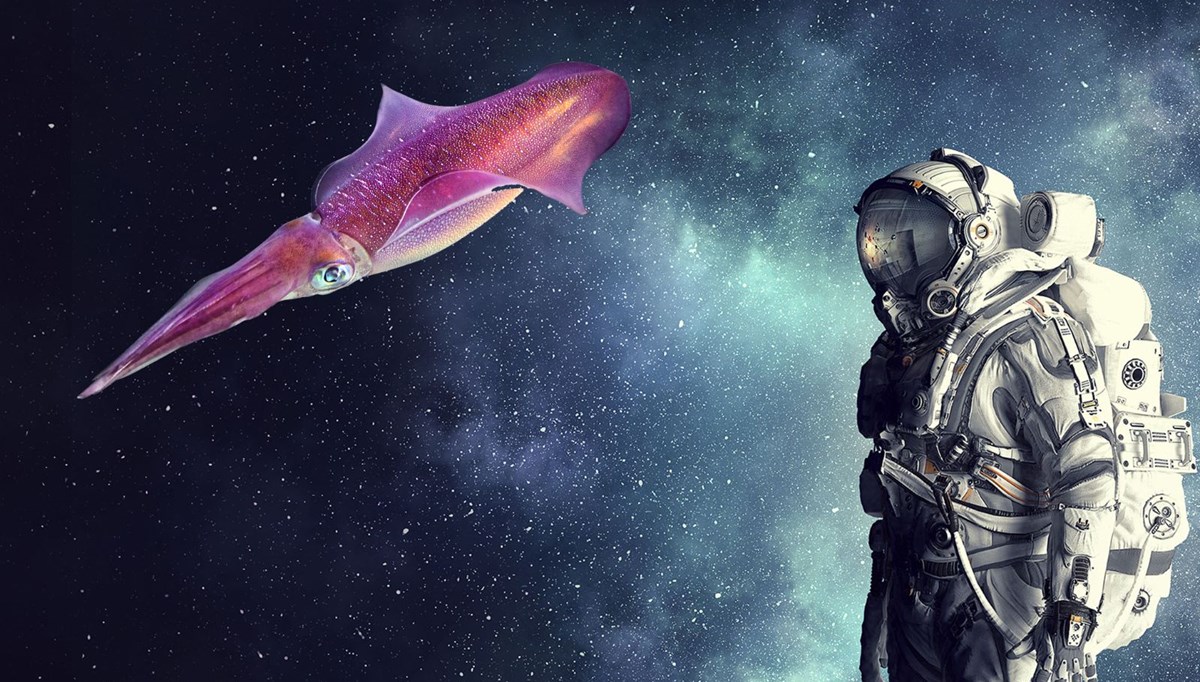 Mürekkep balıkları uzayda yaşamın sırrını ortaya çıkartabilir