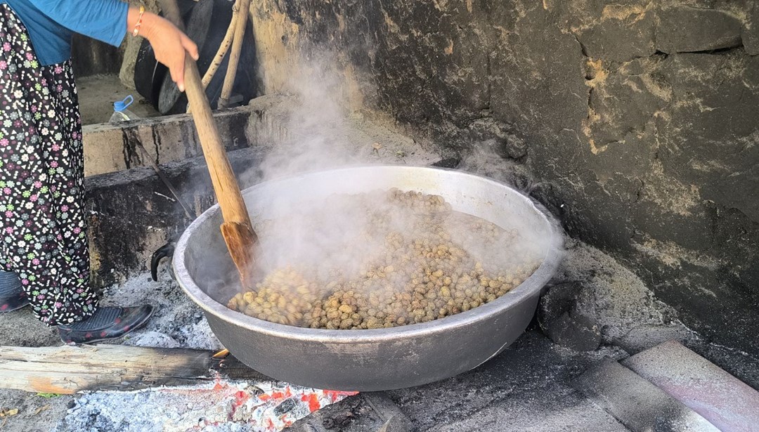 Doğal şifa kaynağının kilosu 500 lira: Ata yadigârı yöntemle yapılıyor