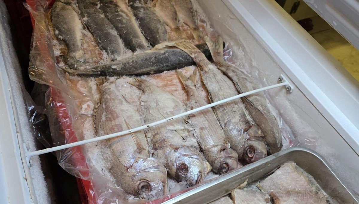 İzmir’de mide bulandıran görüntü