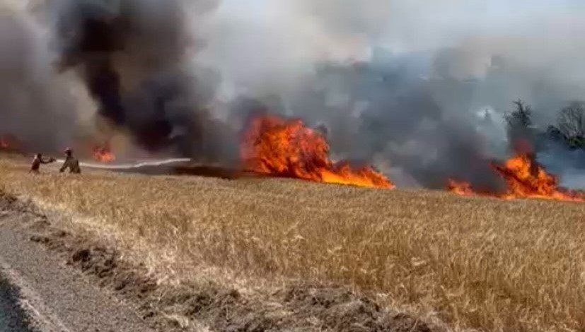 Çanakkale'de tarım arazisinde yangın çıktı