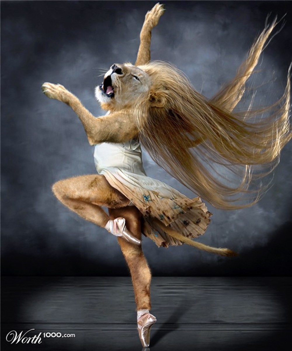 Suivez nous avec La Balaguère Voyage Lemur, Flying lemur, Animals