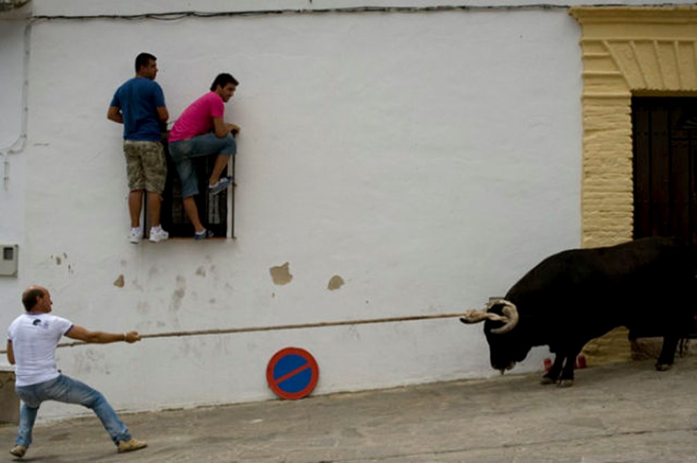 Огромный мешок. Тащит машину. Тянем потянем. Парень тащит машину. Вейтпуллинг чихуахуа.