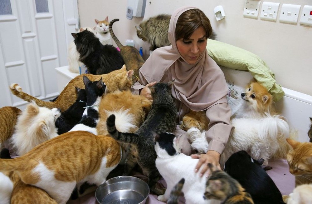 Evinde 480 kedi ve 12 köpeğe bakıyor - 8