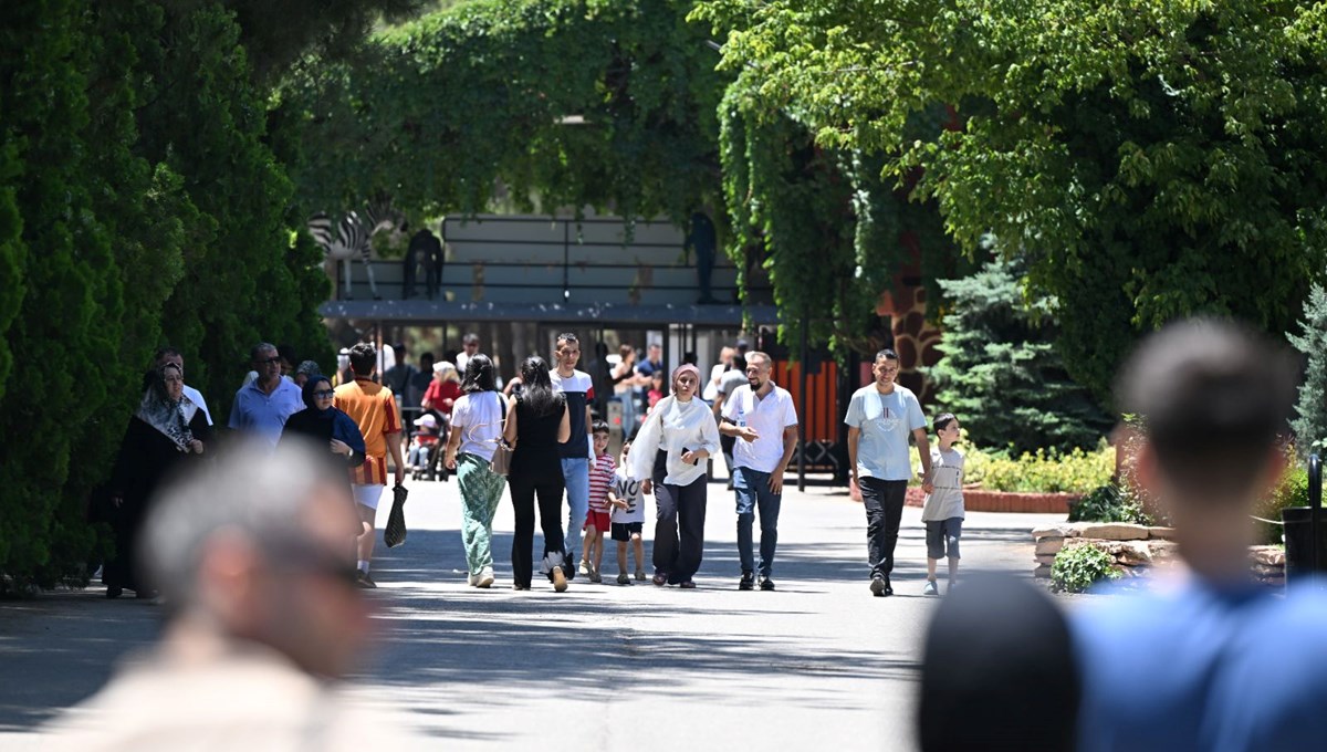 Gaziantep Doğal Yaşam Parkı2 milyondan fazla ziyaretçi ağırladı Gaziantep Doğal Yaşam Parkı2 milyondan fazla ziyaretçi ağırladı