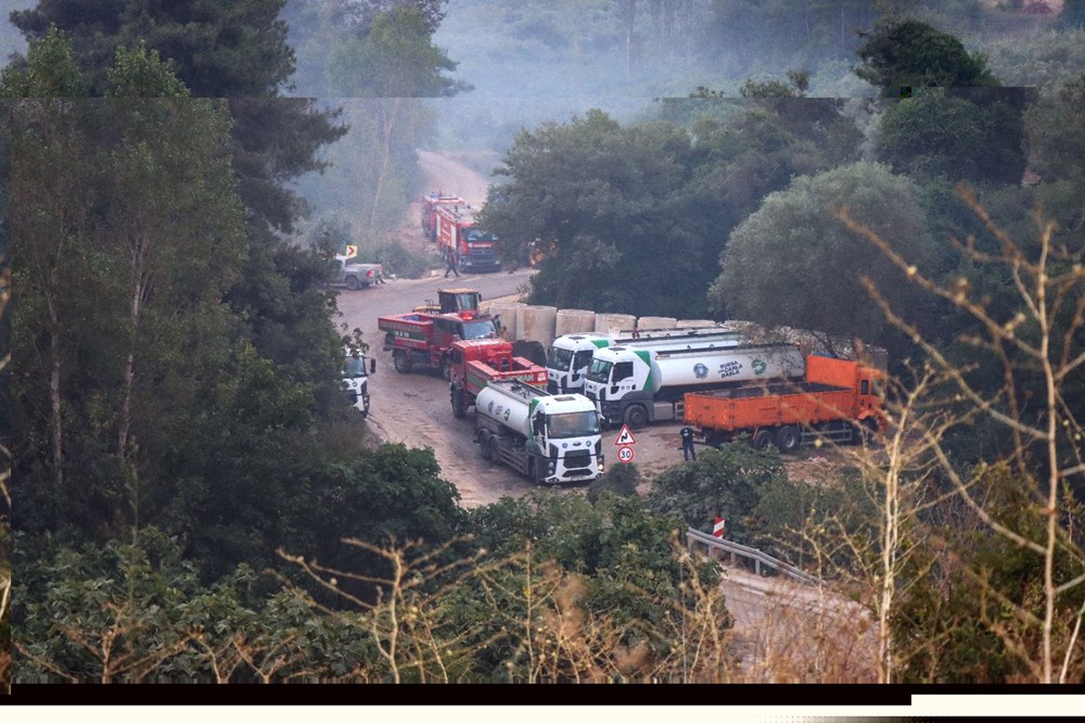 Bursa'da orman yangını - 4