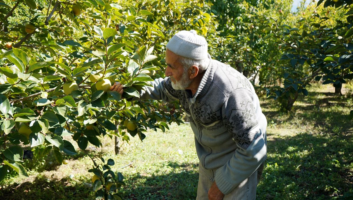 85 yaşındaki İbrahim dedenin 85 yaşındaki İbrahim dedenin