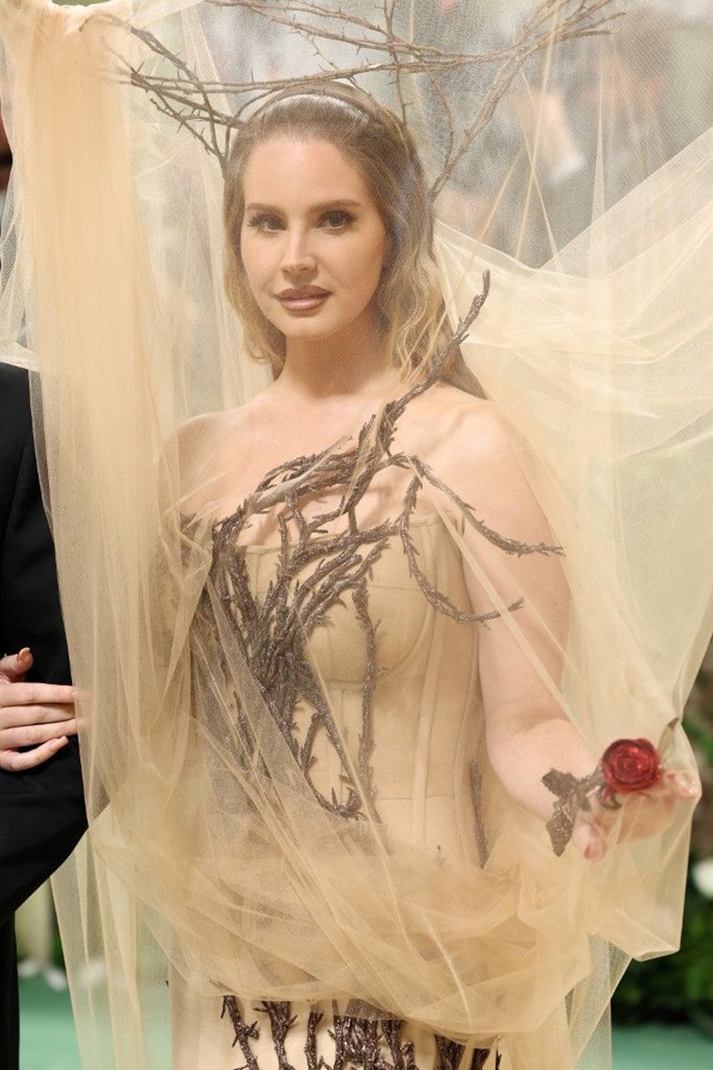 Modanın ən böyük gecəsi Met Gala-da zəriflik yarışı - 29