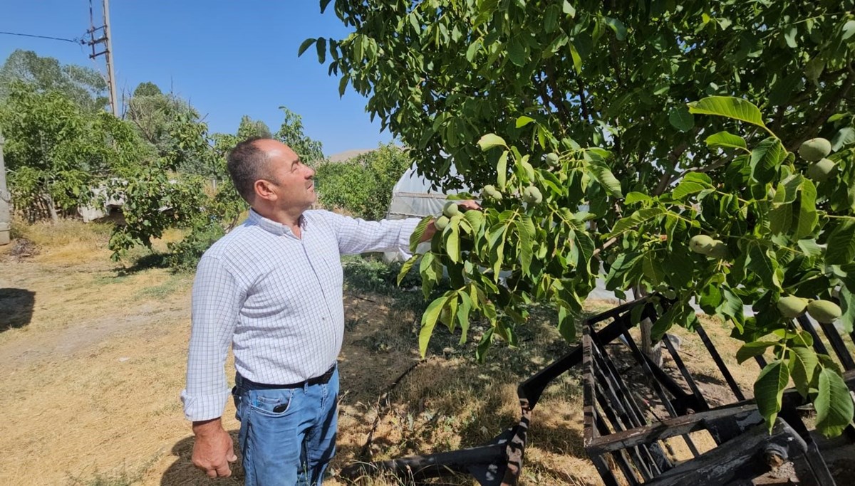 Bu yıl rekor düzeye ulaşması bekleniyor: 200 binden fazla var