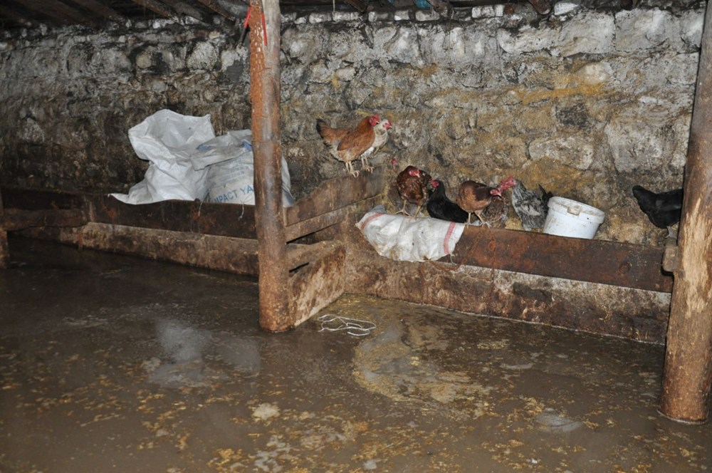Kars'ta sel felaketi: 30 ev sular altında kaldı - 8