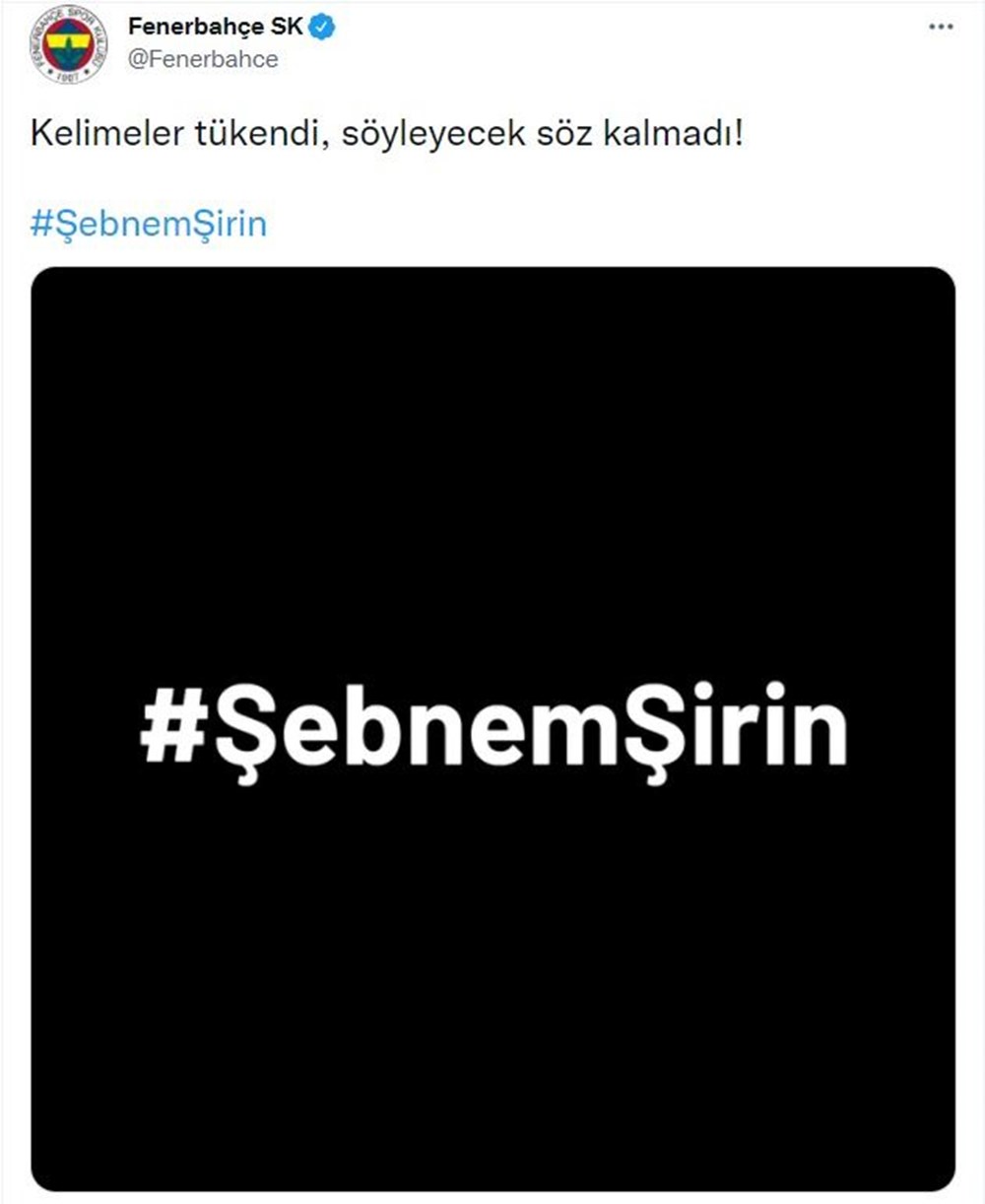 Şebnem Şirin cinayetine tepki yağdı - 12