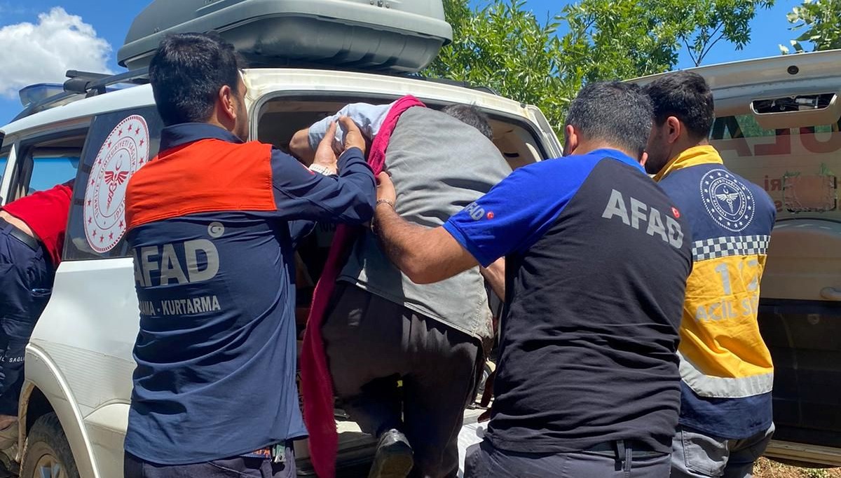 Ayı saldırısında yaralandı Ayı saldırısında yaralandı