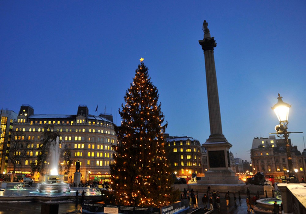 Trafalgar square christmas tree