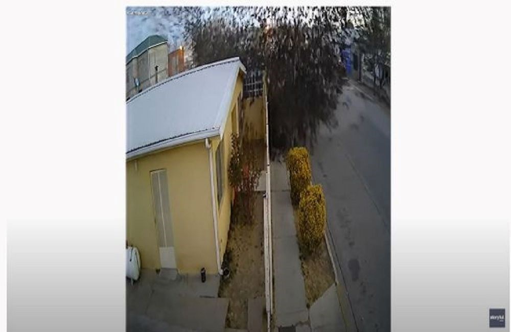 Meksika’da gökyüzünden yüzlerce ölü kuş yağdı: Bilim insanları gizemini çözmeye çalışıyor - 6