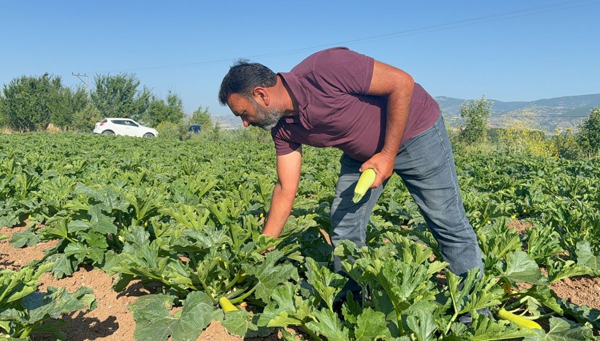 Meyveleri don vurdu: Çiftçi ilk mahsulü öşür niyetine dağıttı
