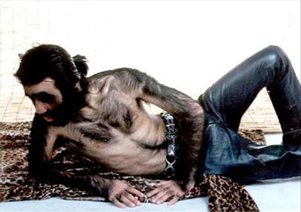 Волосатые 20 фото Волосатые 20 фото