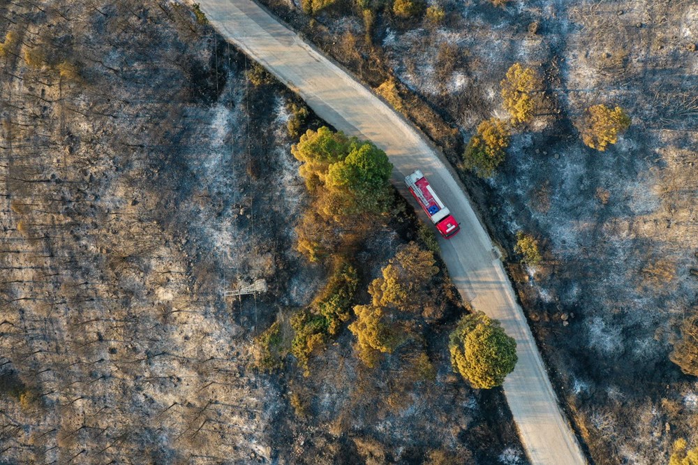 İzmir'de Aliağa ve Menderes'te orman yangını - 23