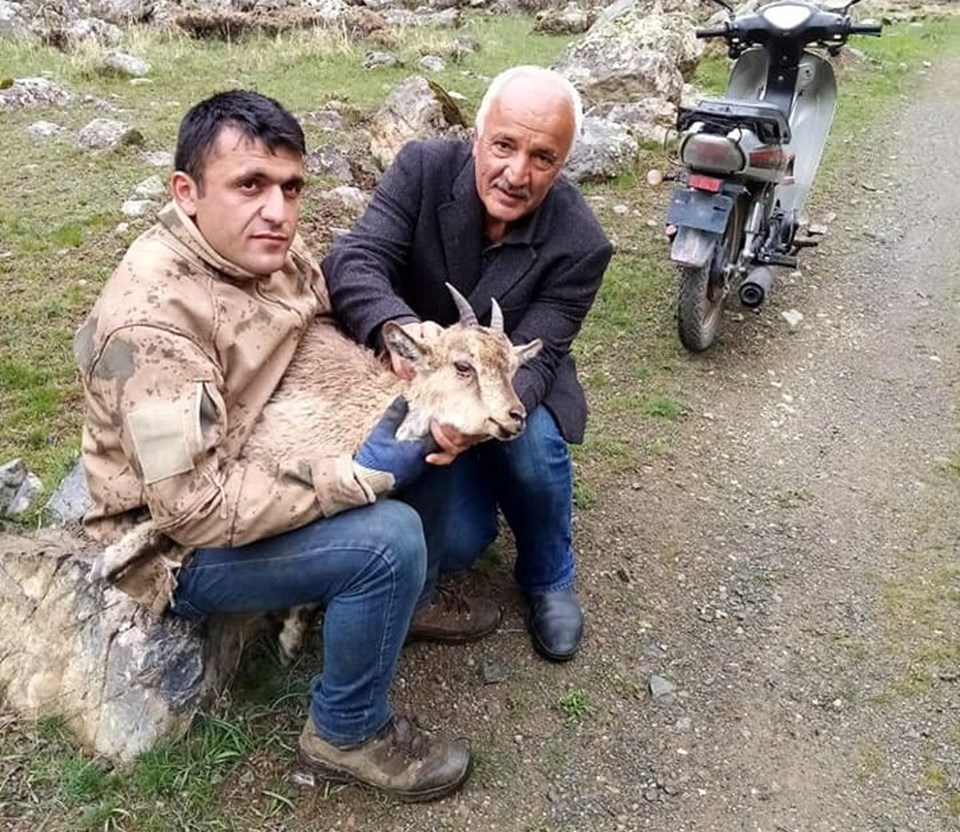 Bulduğu yaralı keçiyi 4 kilometre sırtında taşıdı - 1