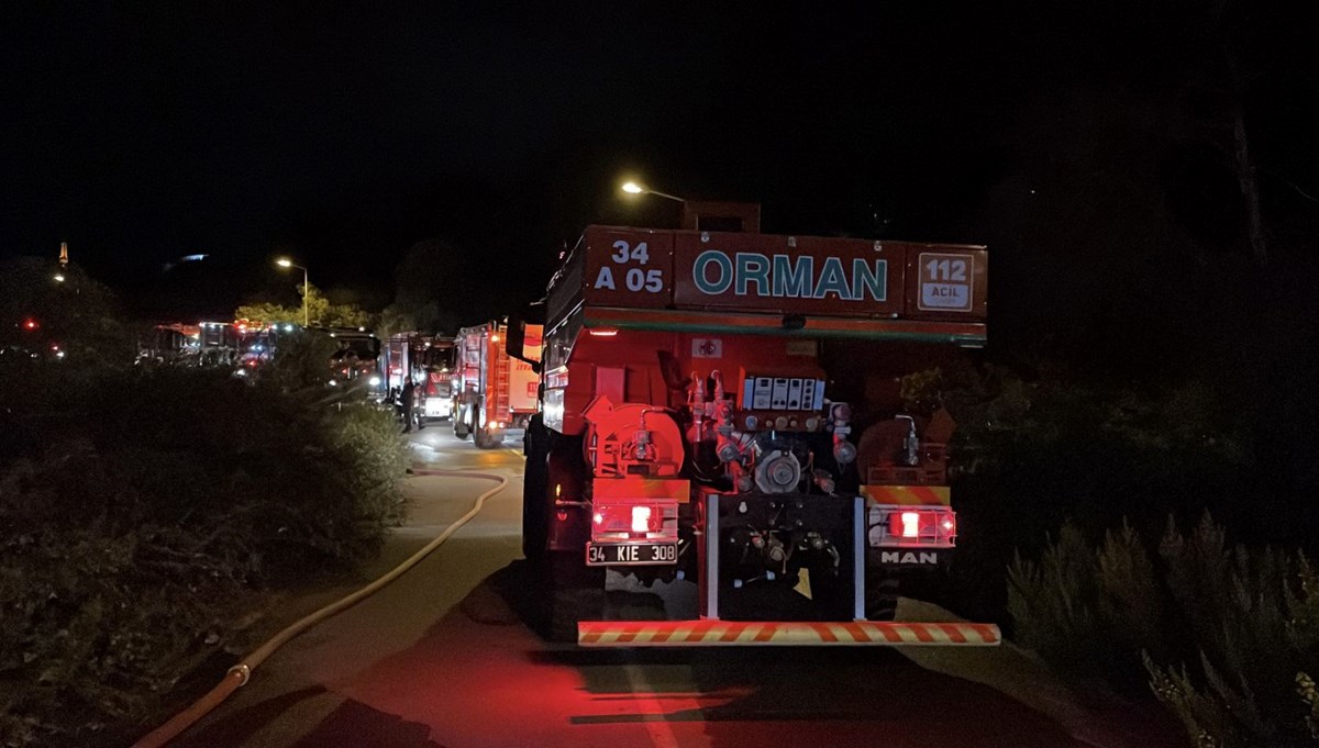 Beykoz'da ormanlık alanda yangın