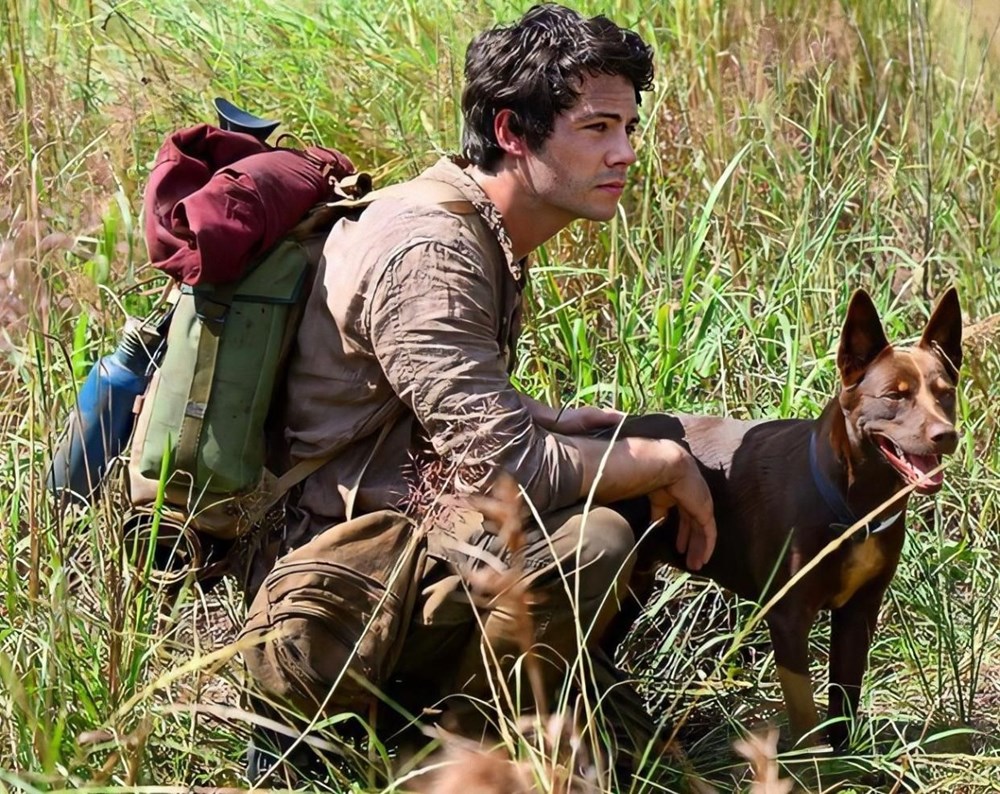 IMDb'den ekim film ve dizi rehberi - 20