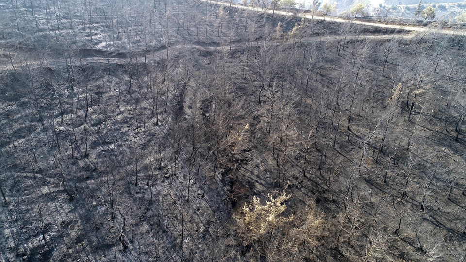 82 yılda Türkiye'de Kıbrıs’ın bir buçuk katı kadar orman yandı - 2