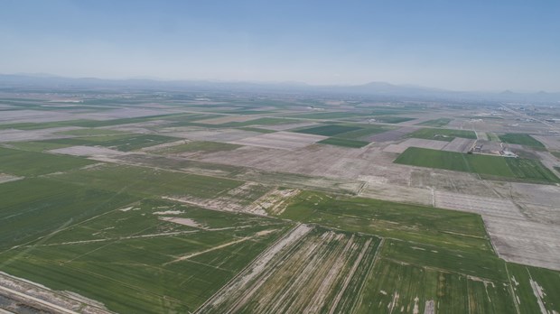 BİÇERDÖVERLER GİRMEYEBİLİR 14 GmW9R4lOqEmb6uhJnH923Q