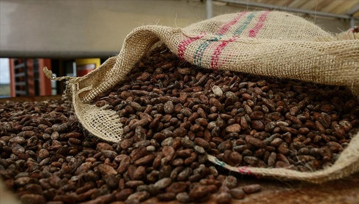 Çikolata sevenlere kötü haber: Kakao fiyatlarında tekrar yükseliş