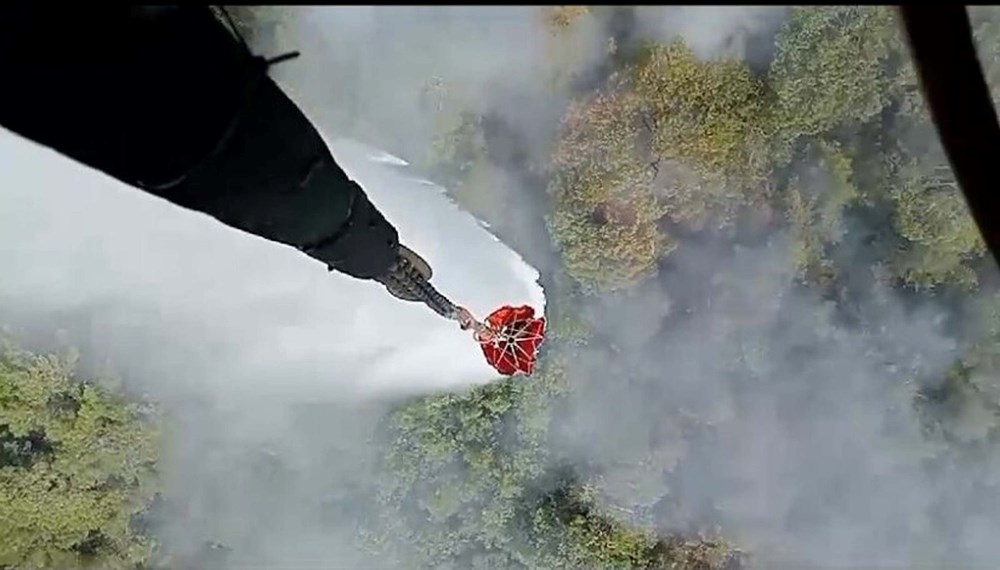 İzmir ve Kahramanmaraş'ta orman yangını - 3