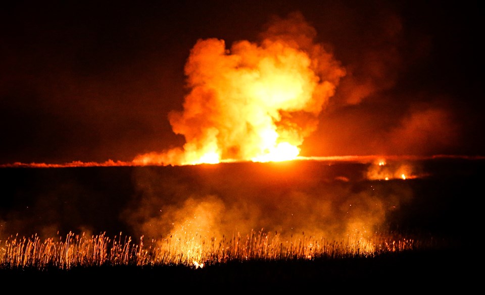 Mersin'de Göksu Deltası'ndaki yangın kontrol altında - 1