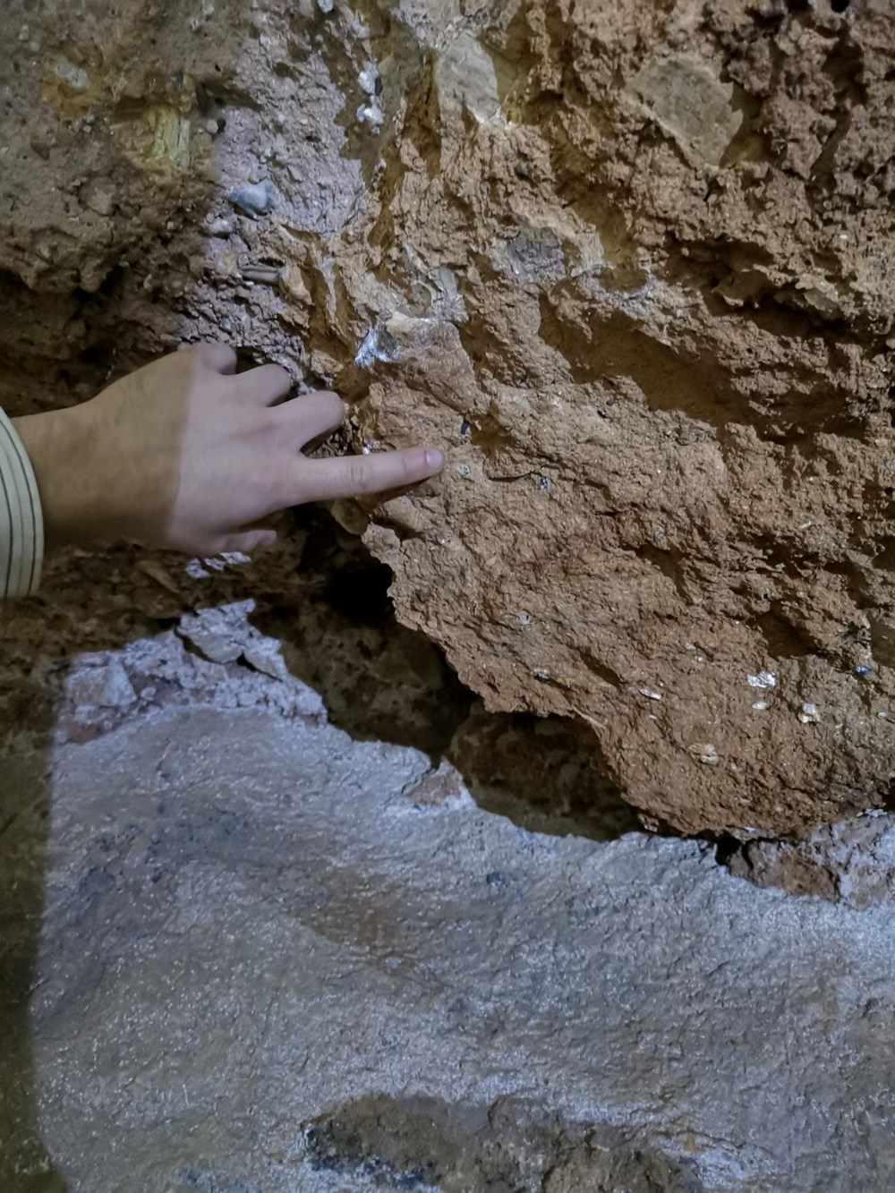 130 bin yıl önce yaşayan Denisovalı bir çocuğa ait diş bulundu: İnsanların antik kuzenlerine ait bilinmeyenler ortaya çıktı - 1