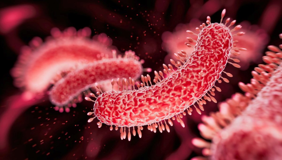 Et yiyen bakteri dört can aldı