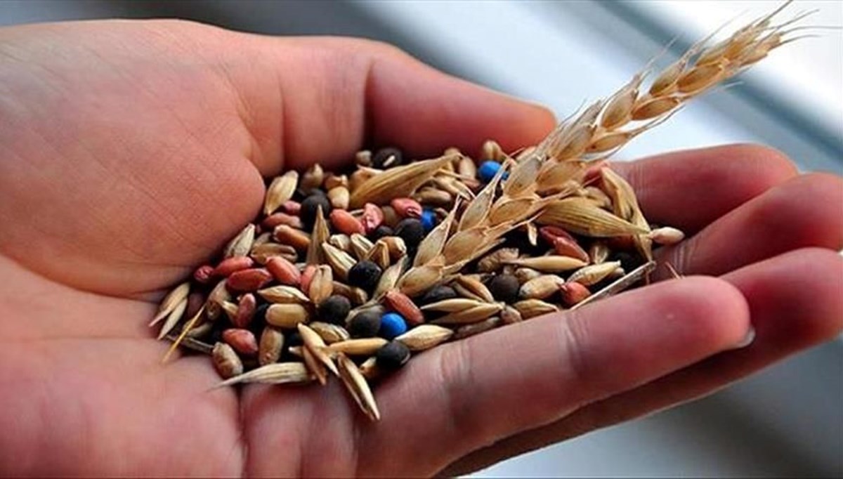 Tohum sektöründeki 14 şirkete soruşturma Tohum sektöründeki 14 şirkete soruşturma
