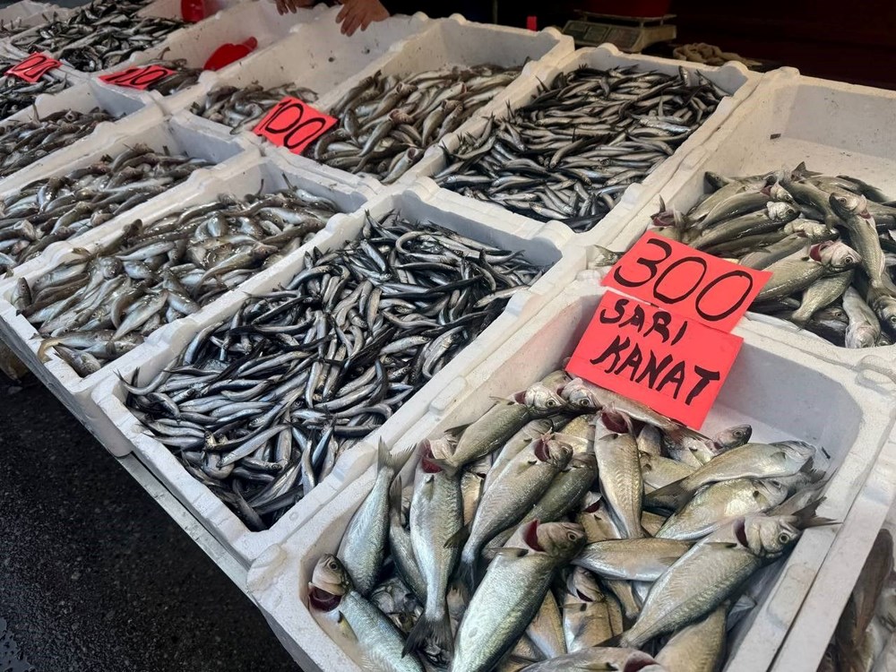 Tezgahlarda Şenlik Var: Fiyatı Dudak Uçuklatan Lezzet! 72