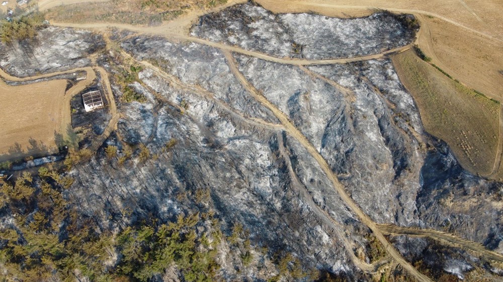 Çanakkale orman yangını kontrol altında: Yanan alanlar griye döndü - 2