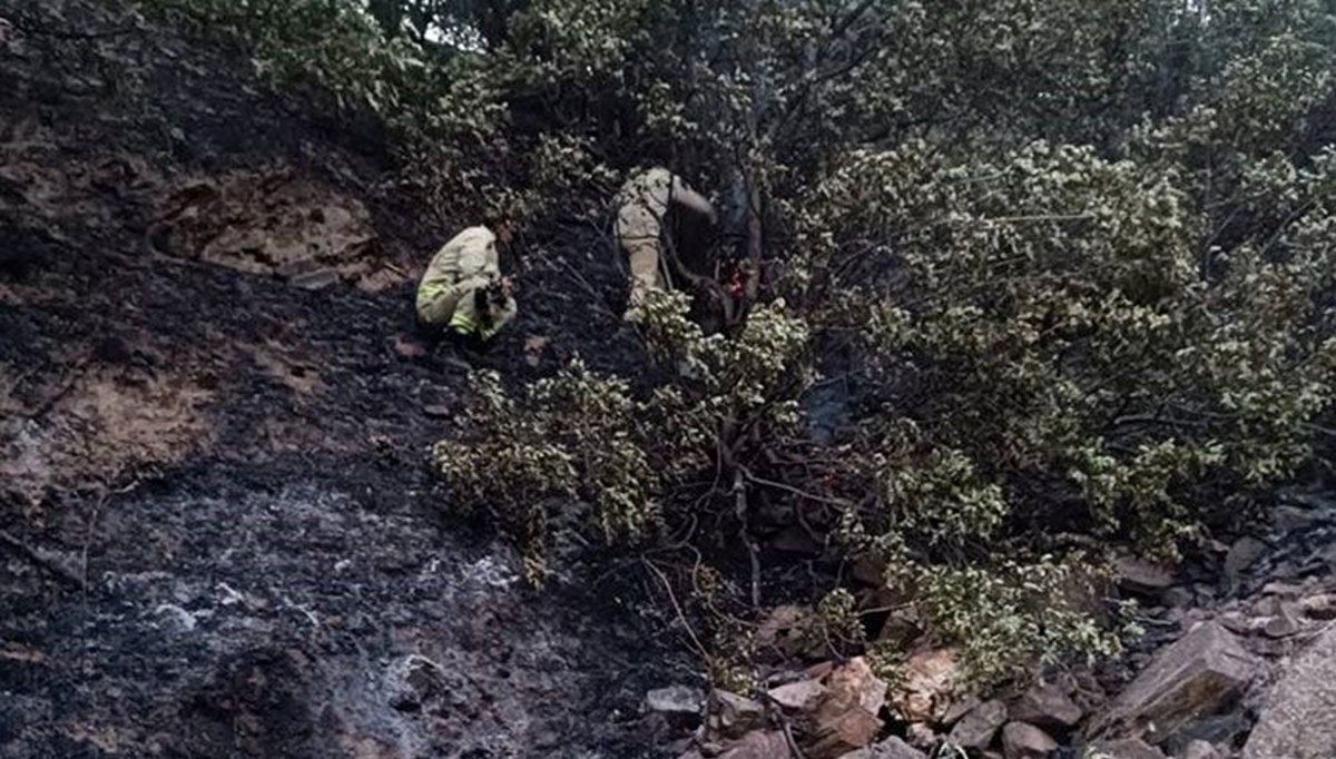 Manisa'da 50 dekarlık meyve bahçesi kül oldu