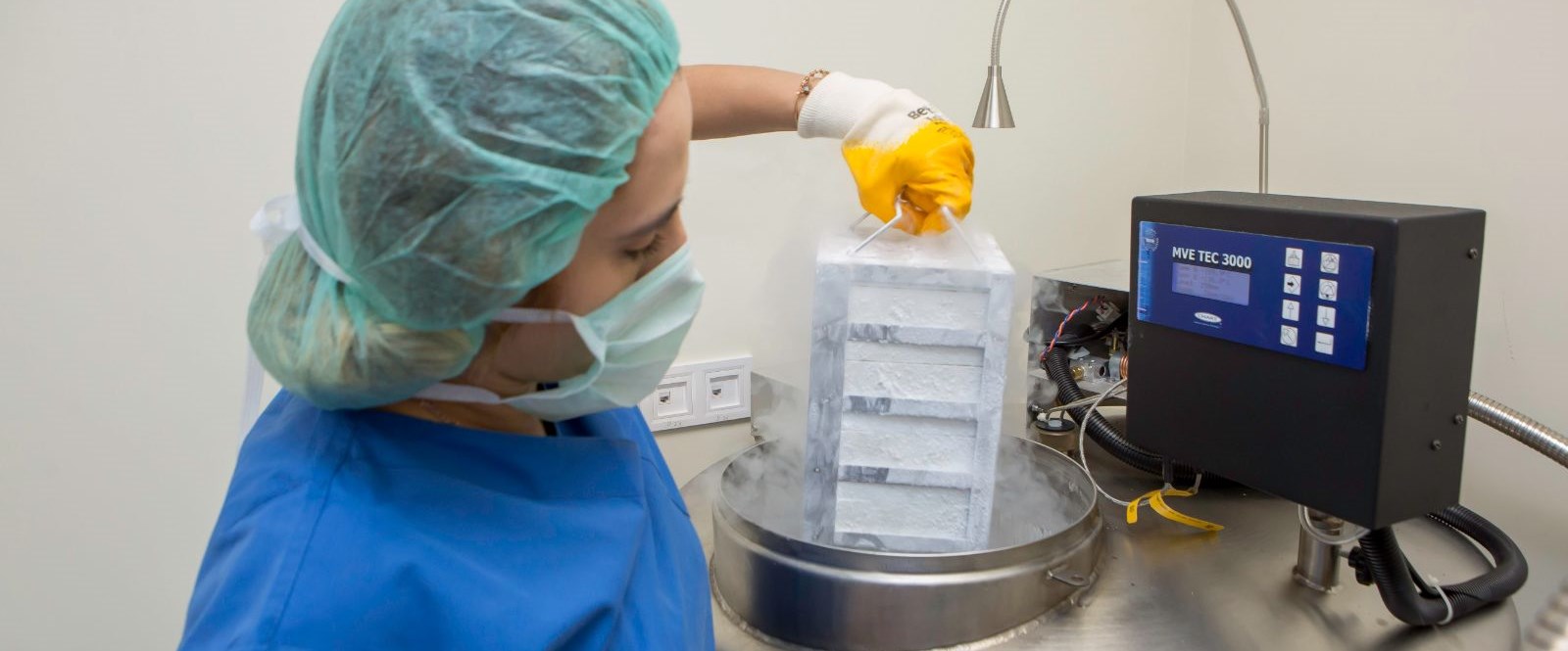 “Tüp bebek tedavisinin ilk denemesinde başarı şansı yüzde