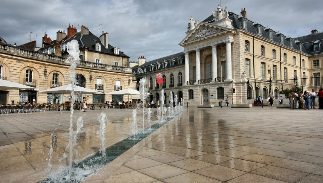 Dijon, the city of gourmet delicacies, colorful roofs and owls