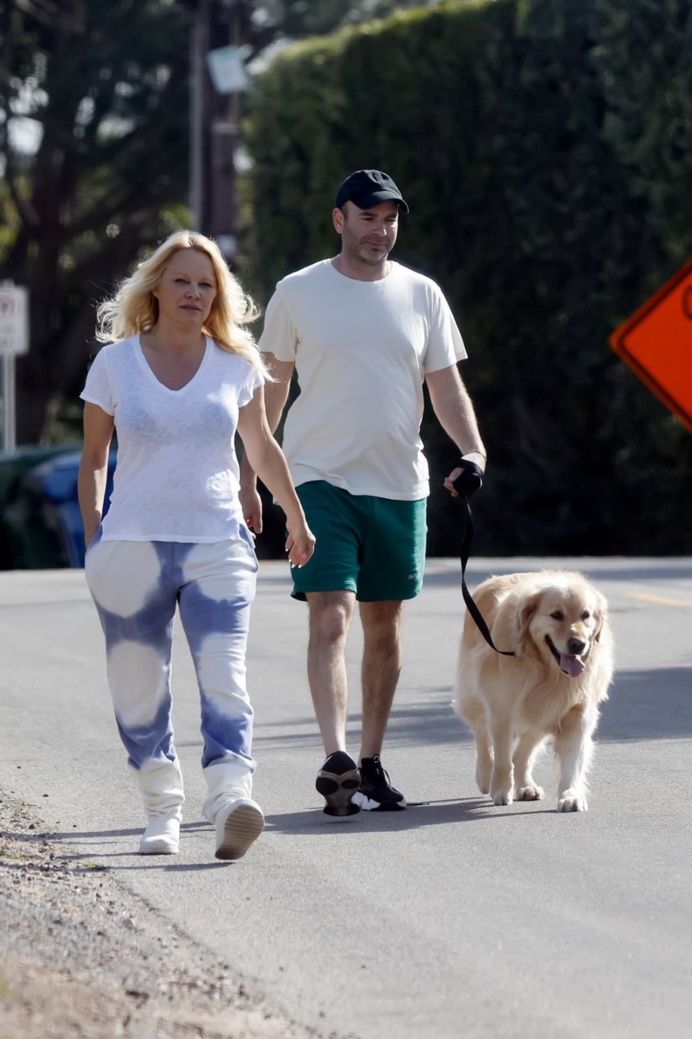 Pamela Anderson, dördüncü eşi Dan Hayhurst'ten boşanıyor - 5