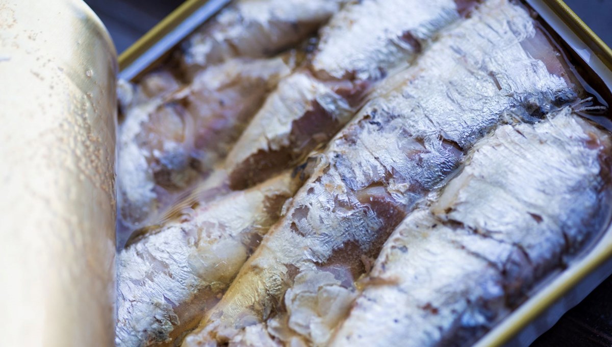 Zekayı ve bilişsel işlevi artıran en iyi yağlar: Hafızayı geliştiriyor