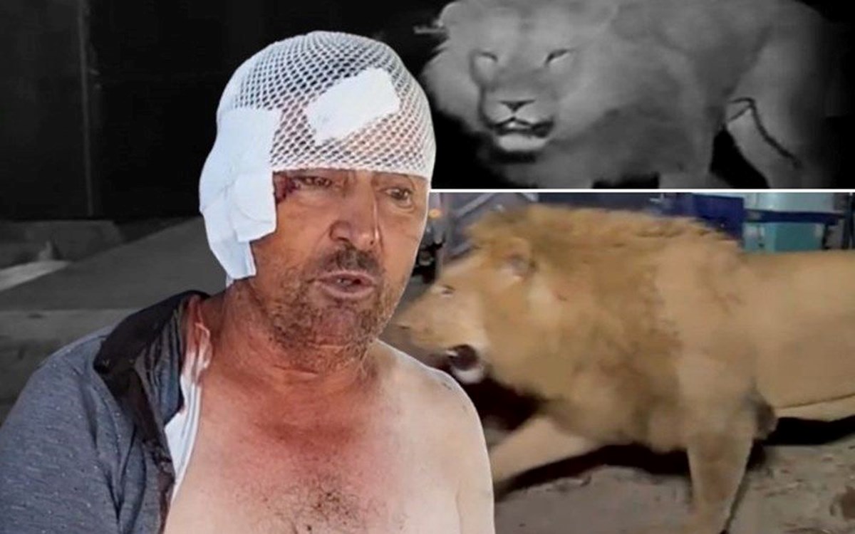 GwHOUfEiH0eMh9n5B1aqjA.jpg