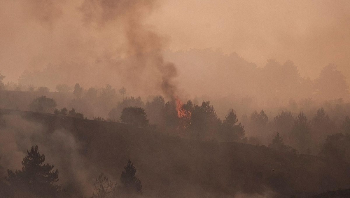 Ankara'da çıkıp Bolu'ya sıçramıştı: Kontrol altına alınan orman yangını yeniden başladı