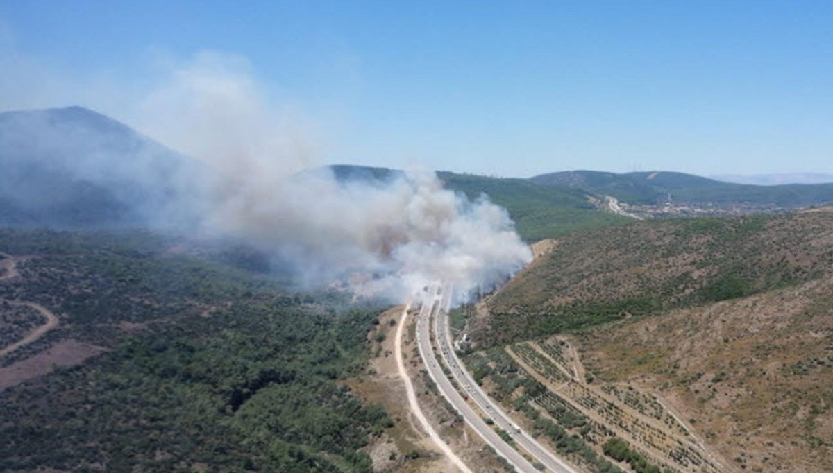 İzmir’de iki noktada orman yangını (Havadan ve karadan müdahale sürüyor)