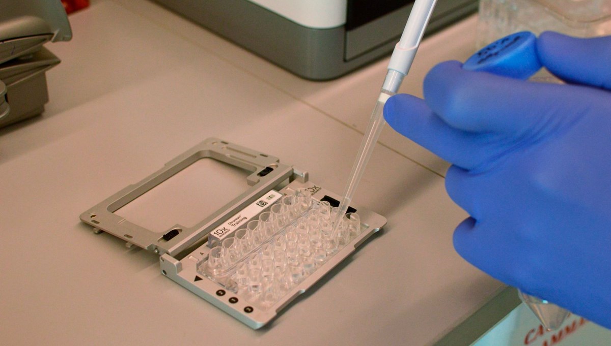 DNA’yı sıfırlayan teknoloji geliştirildi