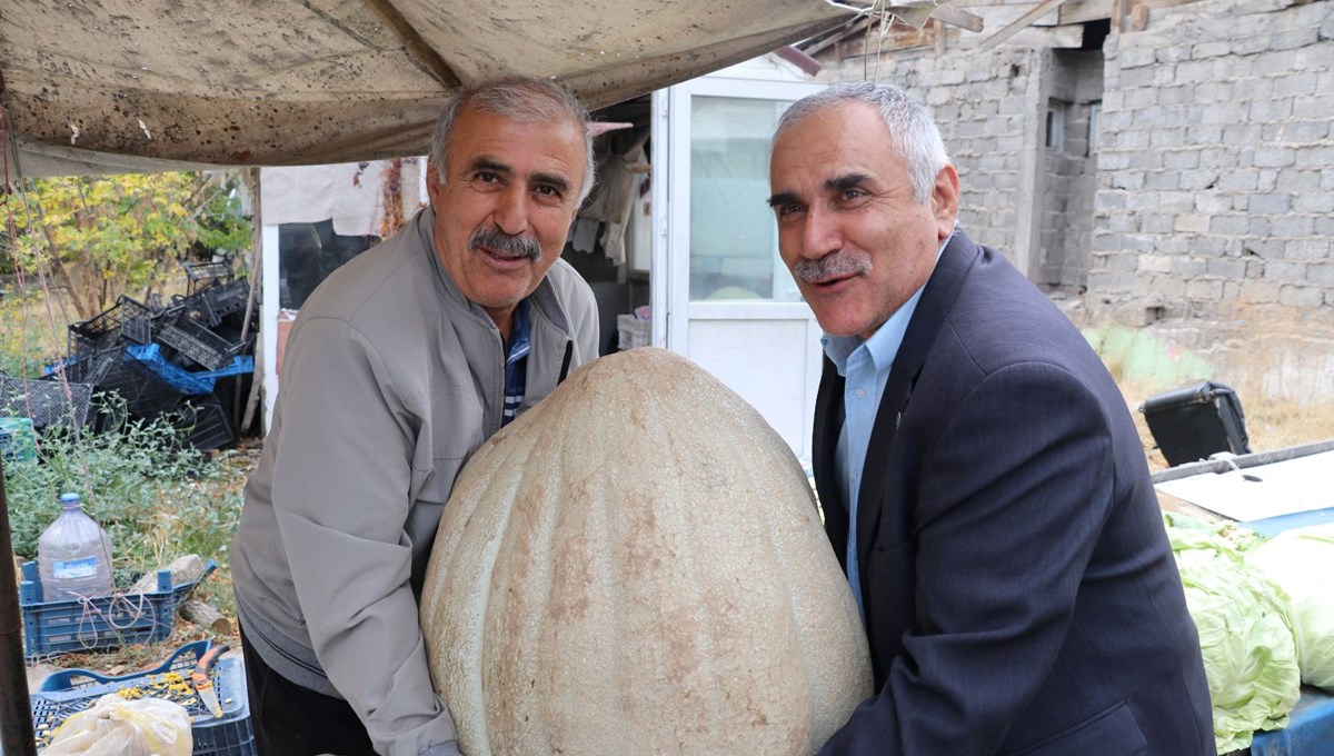 Tarlada 2 kişi zor taşıdı: İlk kez böylesi görüldü, tam 51 kilo!