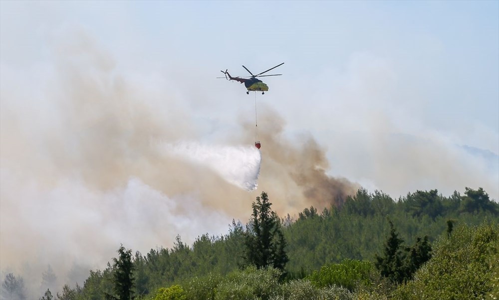 İzmir'in Menderes ilçesindeki yangına bir gözaltı - 3